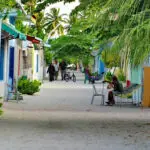 keyodhoo 41